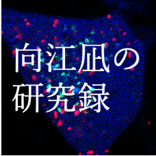 個人HPアイコン